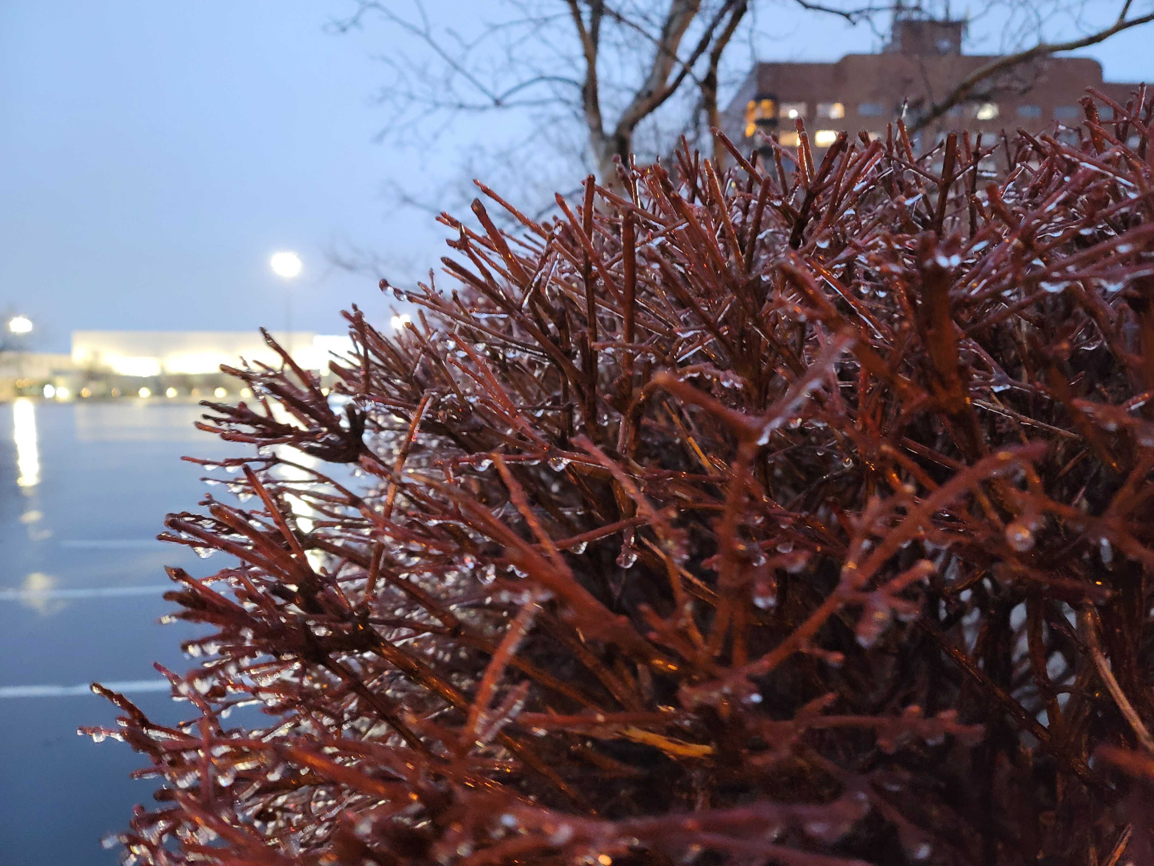 ice snow lexington.jpg