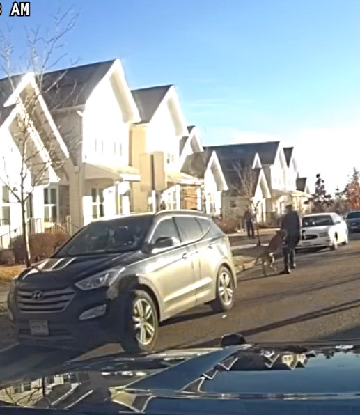 dog killed after attacking boulder police_dashcam video_jan 28 2024.jpg
