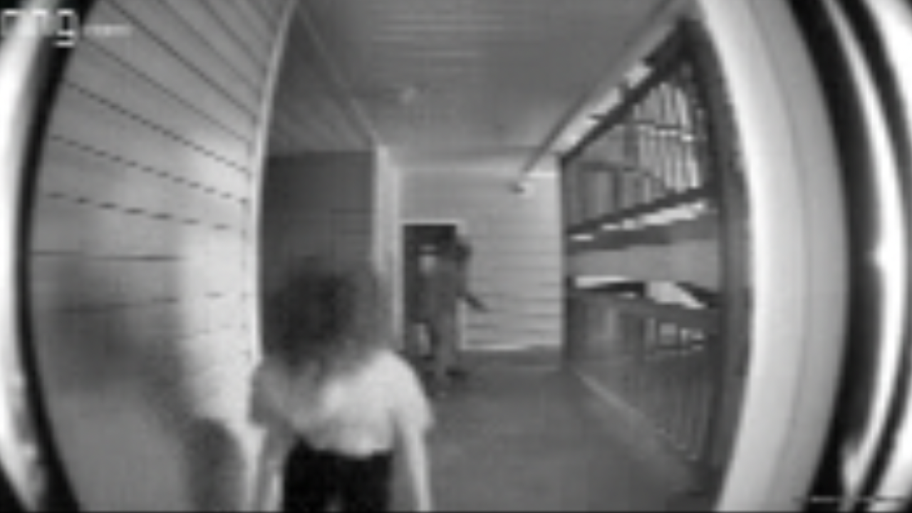 Newport News porch pirate.png