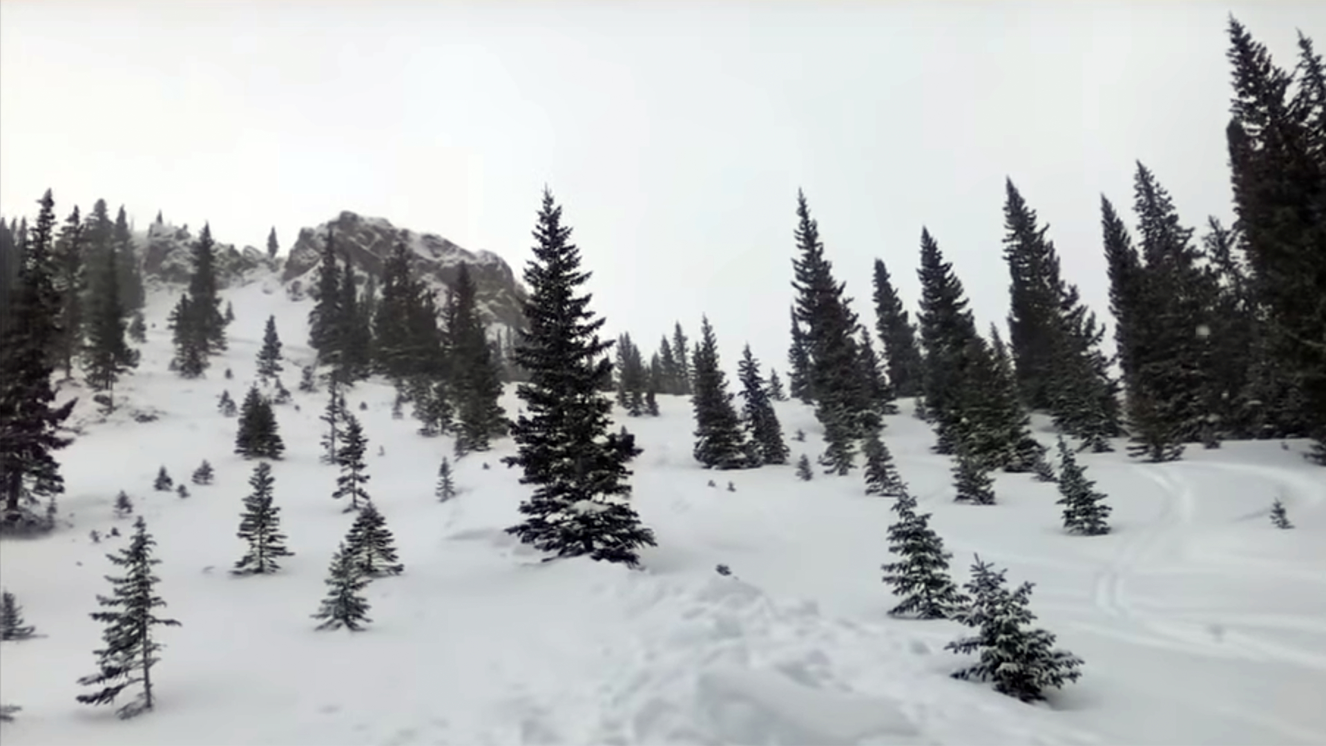 ashcroft markley hut avalanche arin trook.jpg