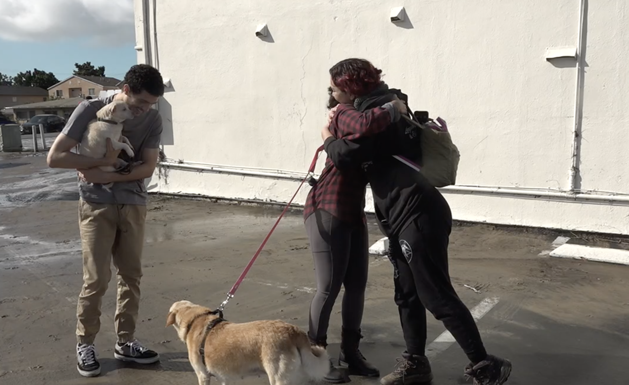 Emotional meeting between dog owner and rescuers after Mountain View flooding  