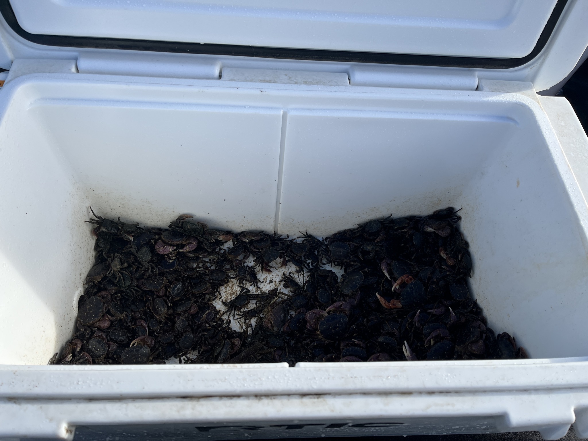 CDFW overharvesting.jpg