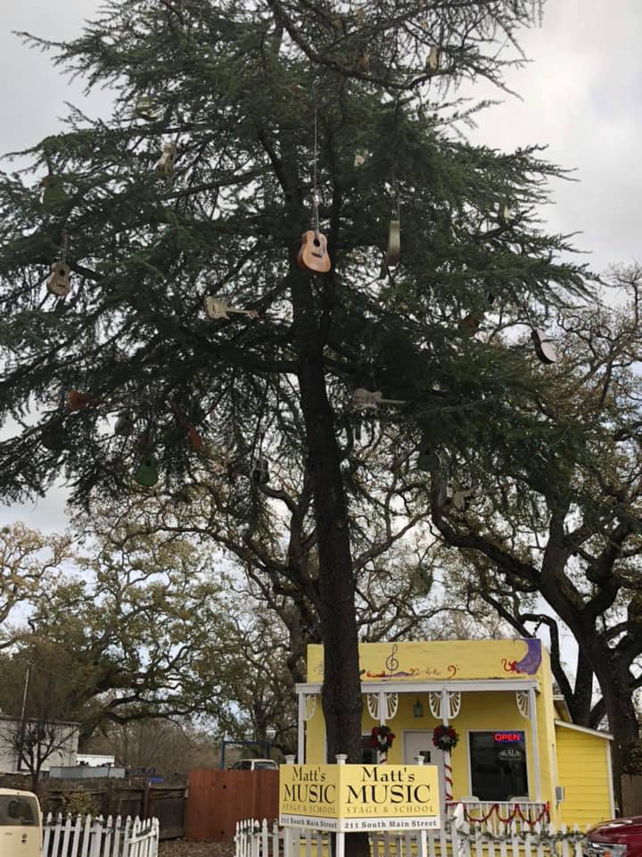 Templeton Matt's Music tree lighting