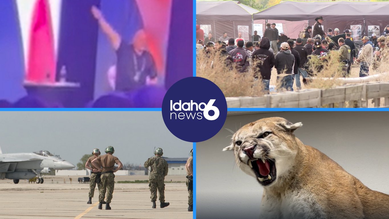 Top 10 Articles (1).png