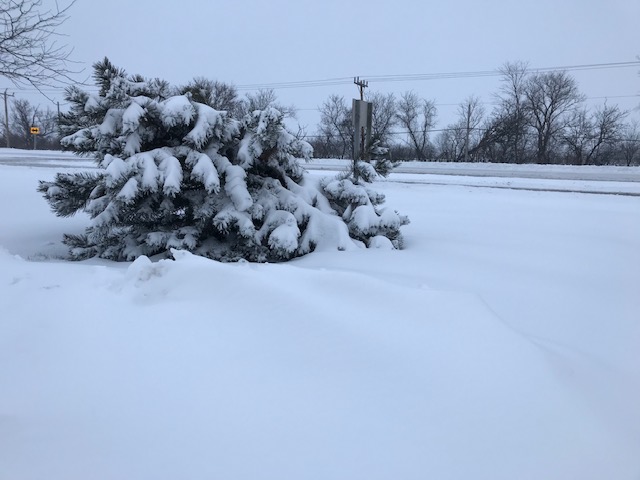 winter snowfall in kenosha