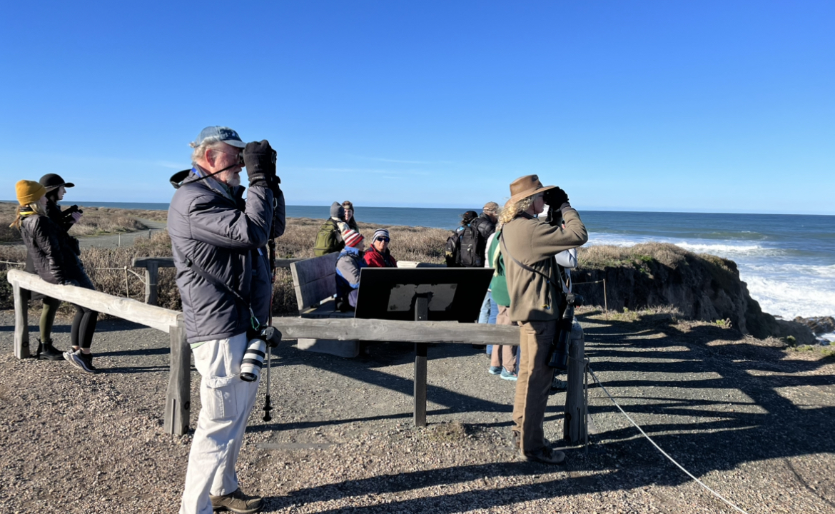 The Morro Bay Bird Festival is taking place over the next few days bringing people in from far and wide to take a glimpse at the rich bird life in the area.