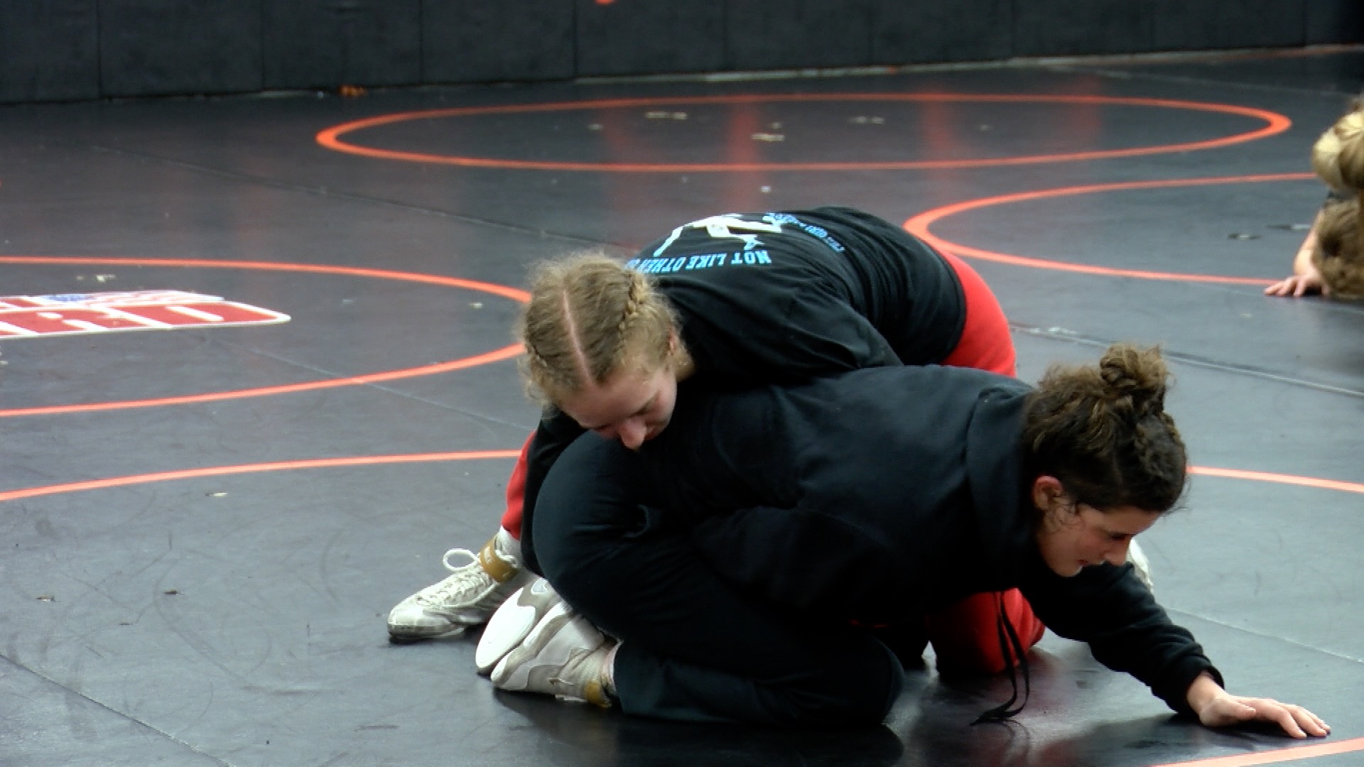 Flathead and Glacier wrestling.jpg