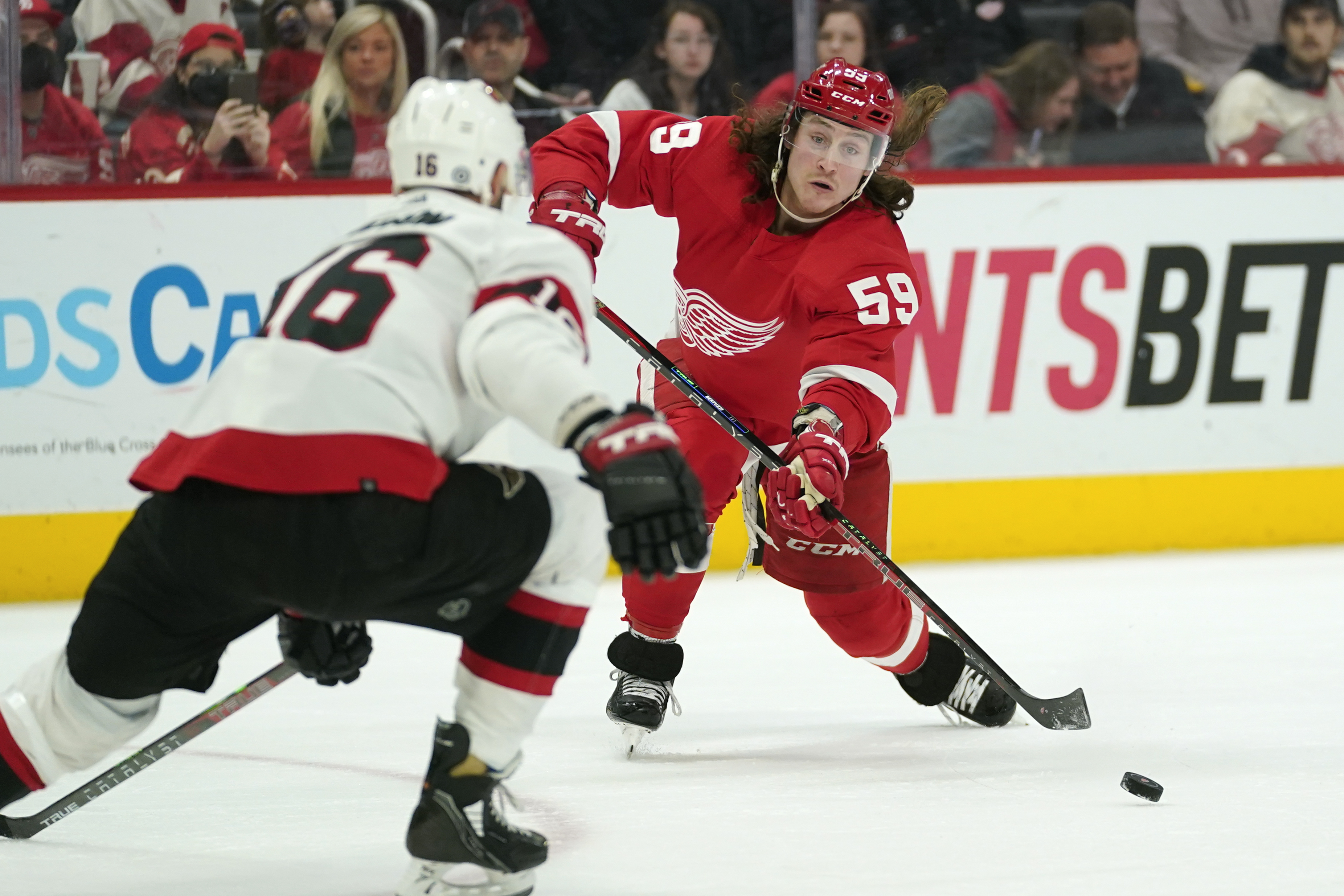 Tyler Bertuzzi Senators Red Wings Hockey