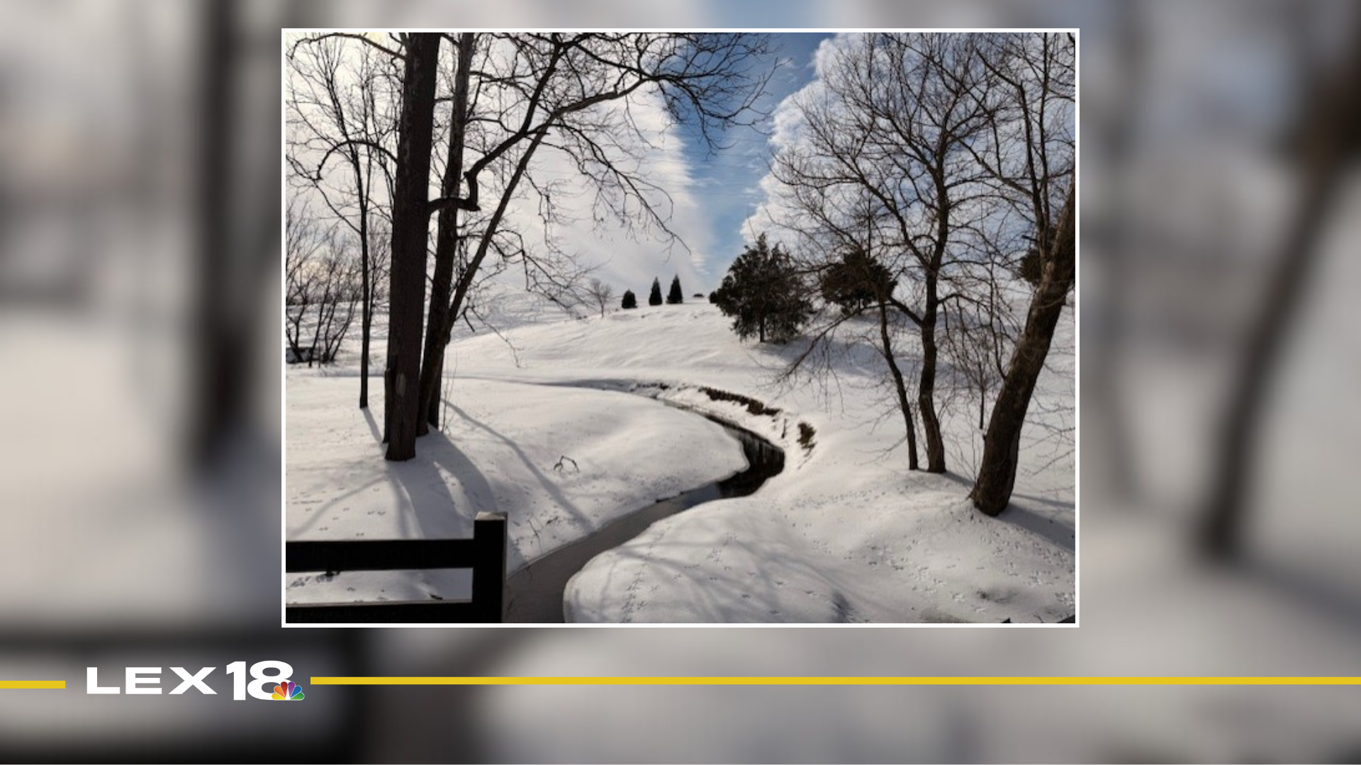 Mug Shot of the Week: Rane Richards