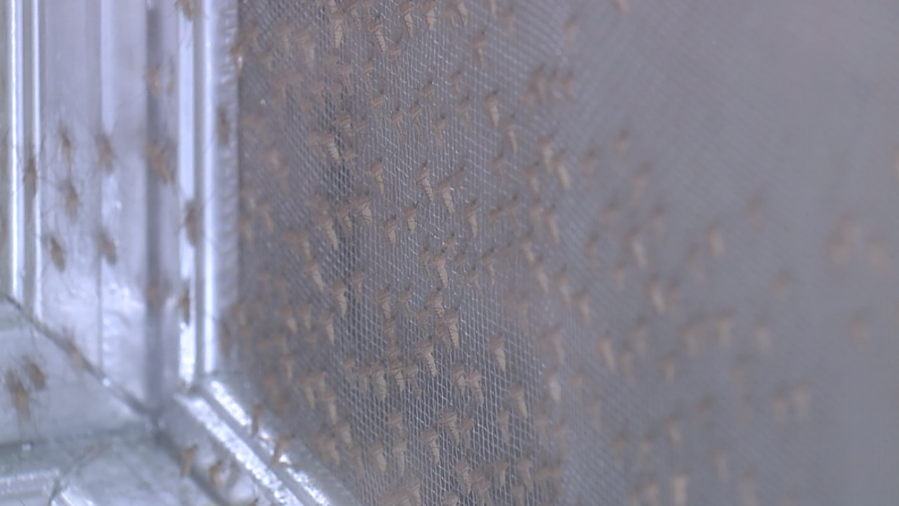 Mosquito Control center