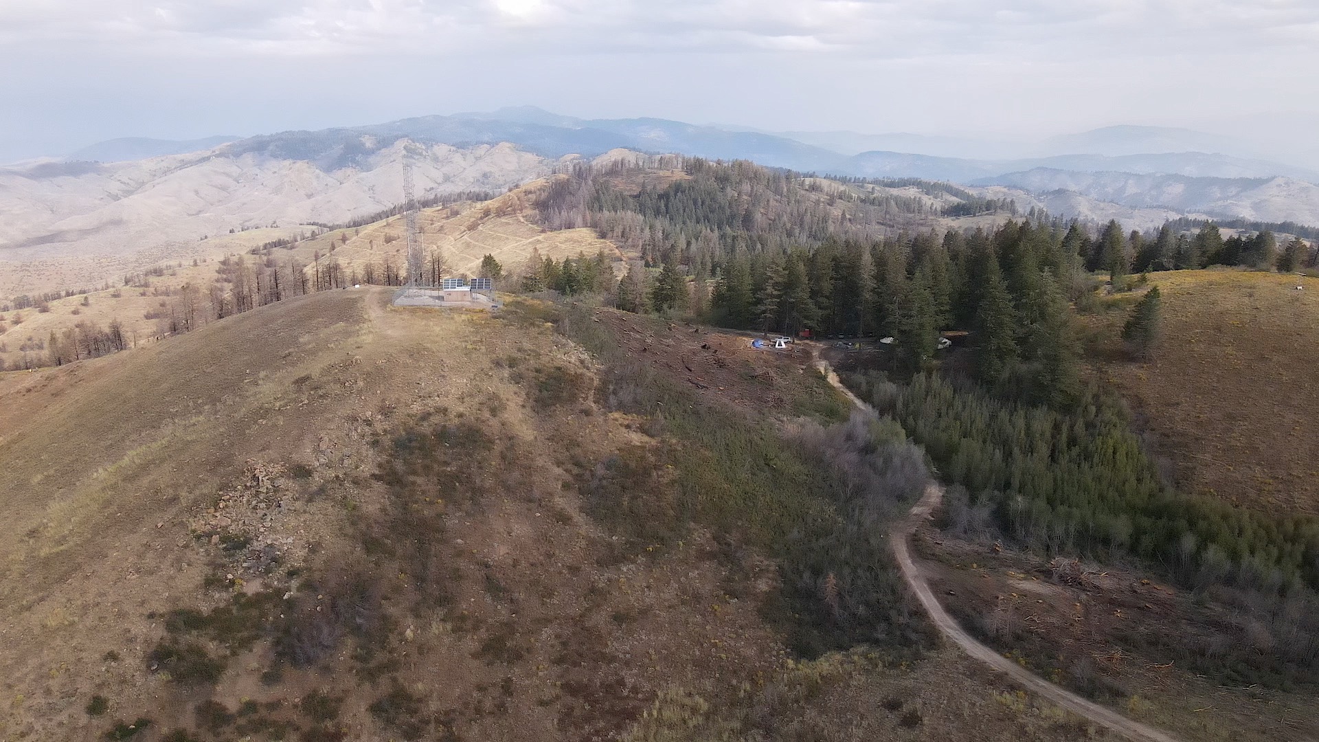 The International Bird Observatory