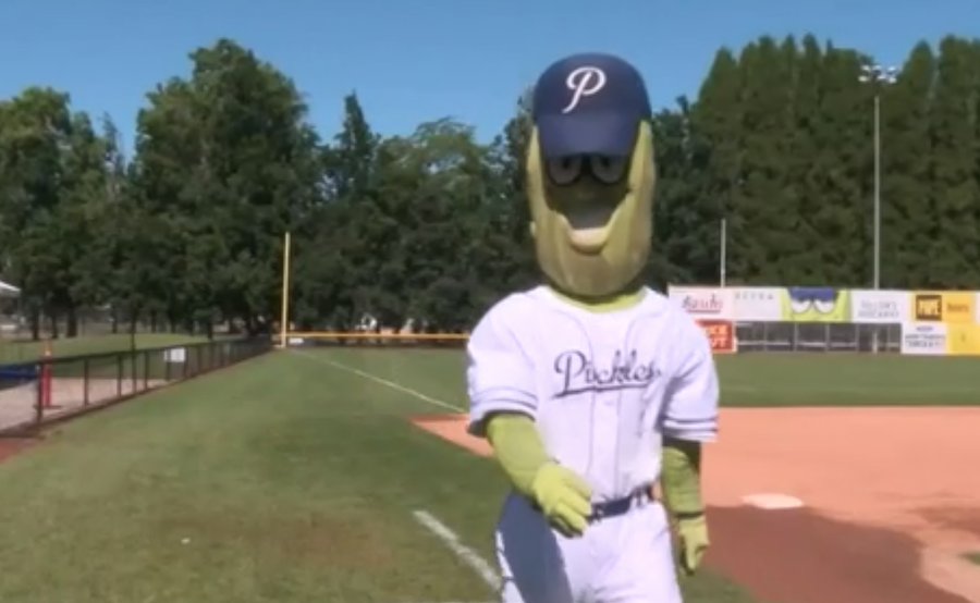 portland pickles.png