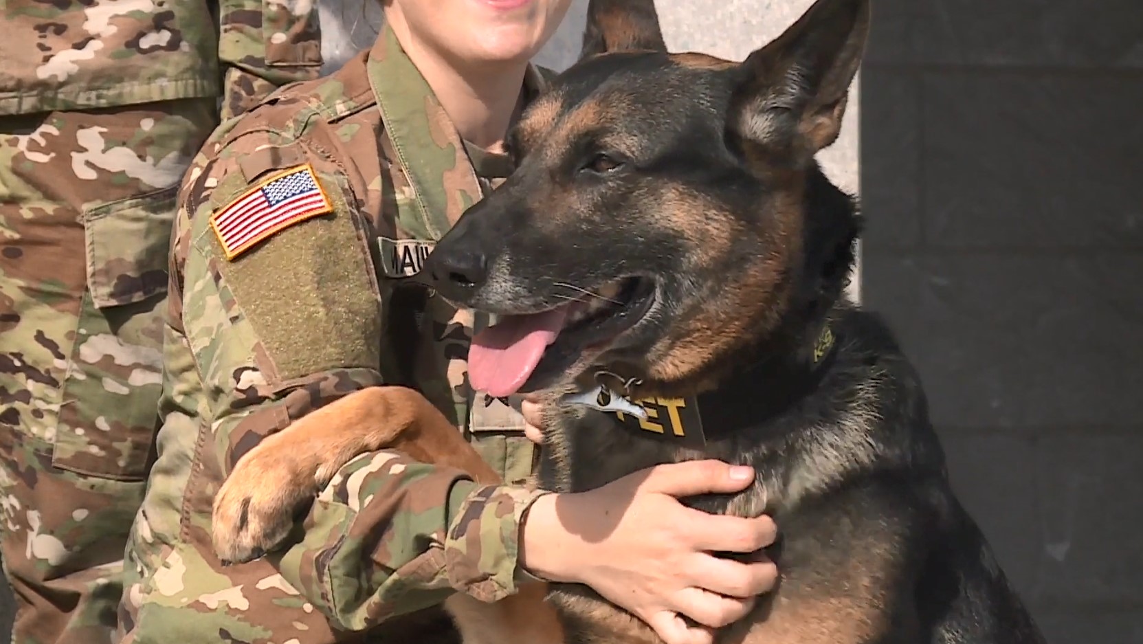 Screenshot 2023-03-10 115852.jpg