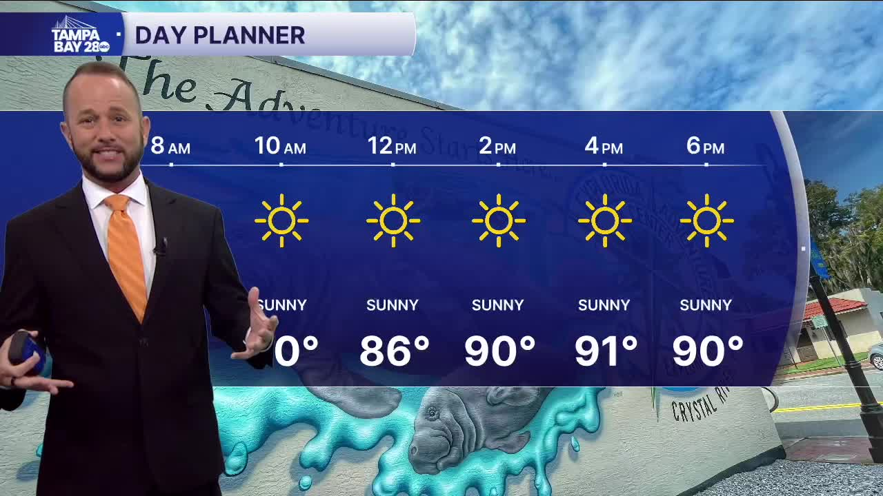 forecast 5-15.png