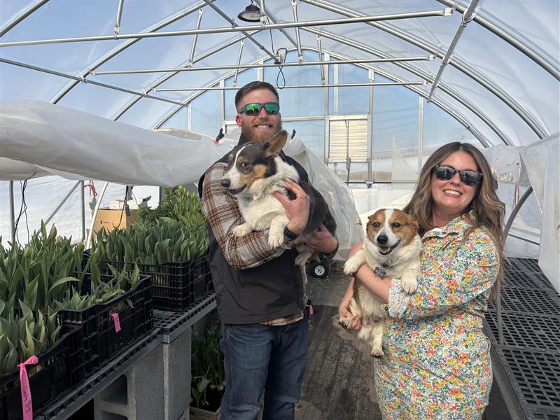 Wild Roots Flower Farm