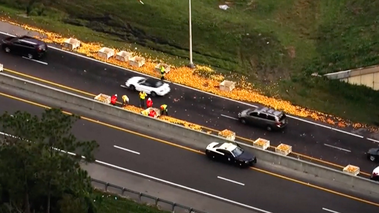wptv-oranges-on-turnpike.jpg
