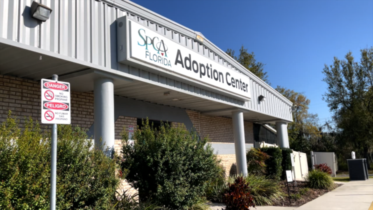 pet adoption center.png