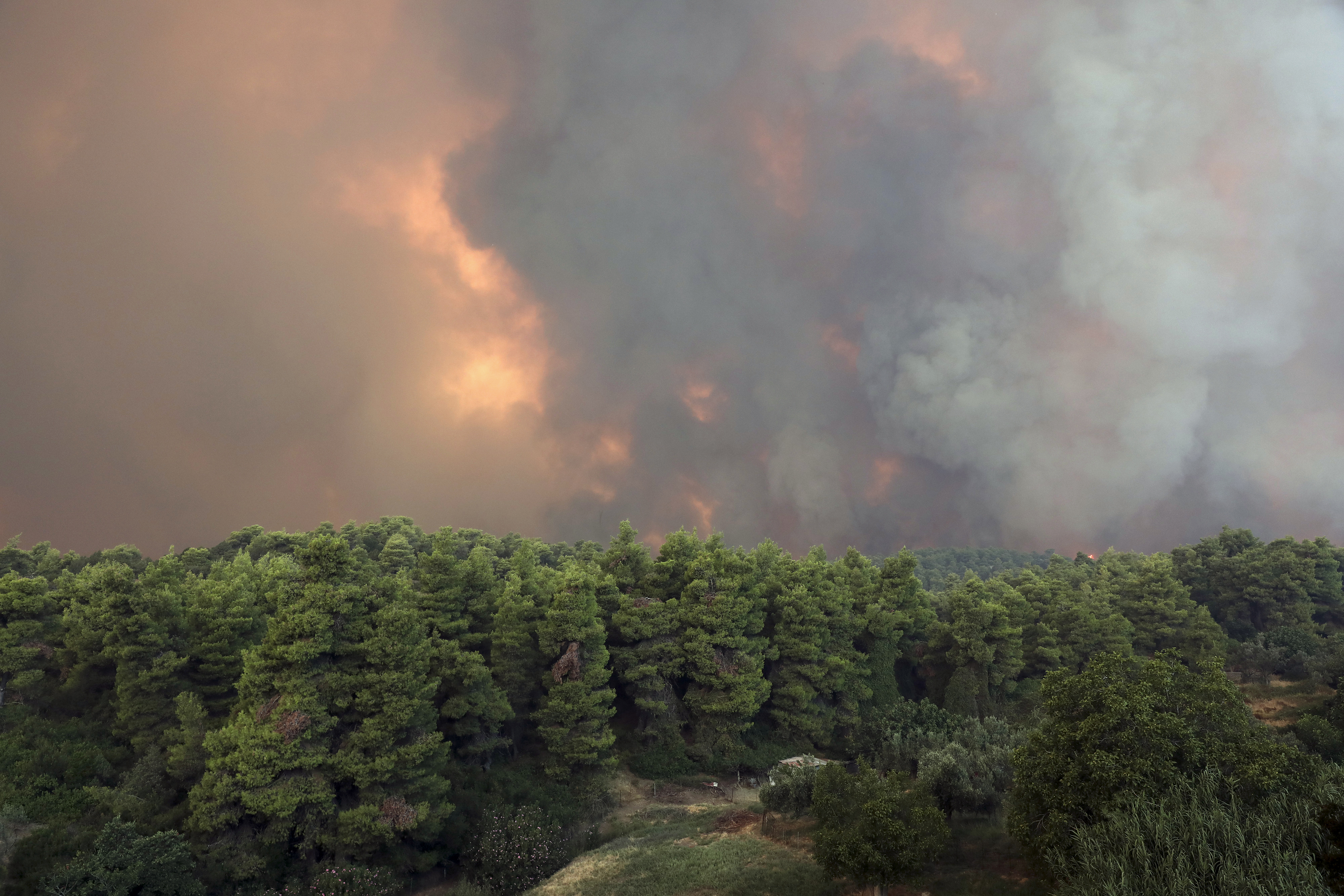 APTOPIX Greece Wildfires