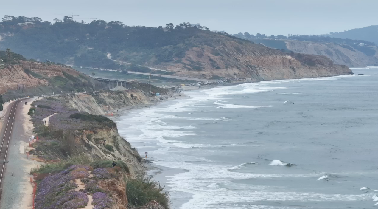 del-mar-coast-shark-attack-060224