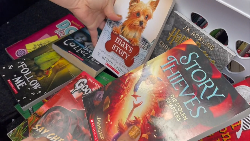 mobile library.PNG