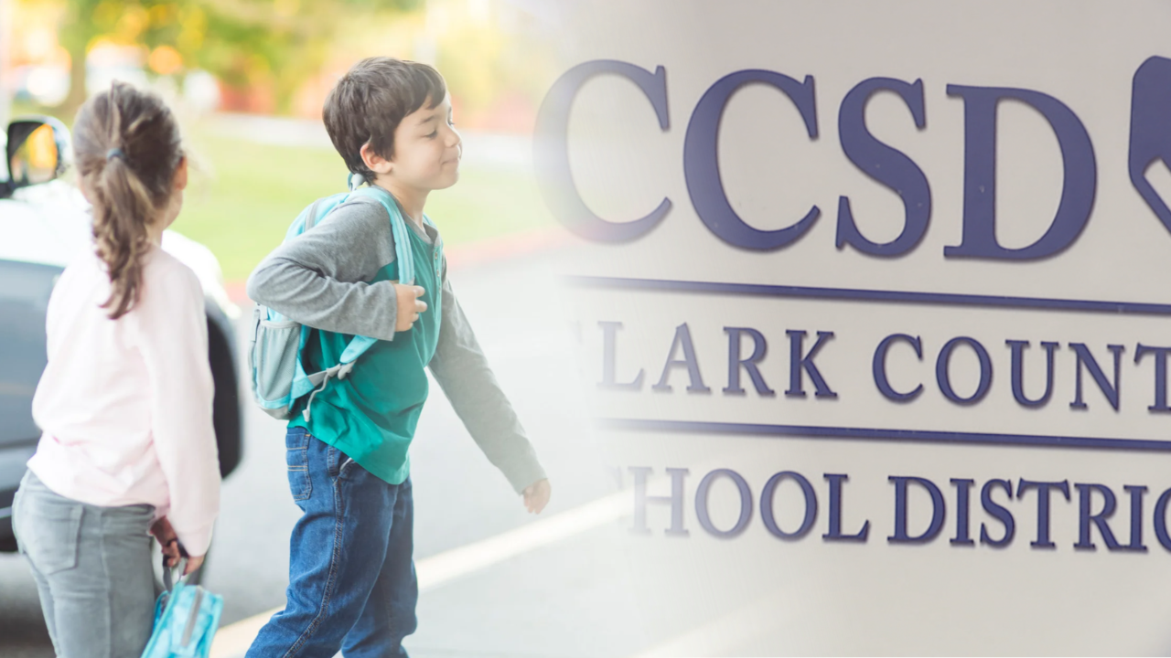 CCSD transportation
