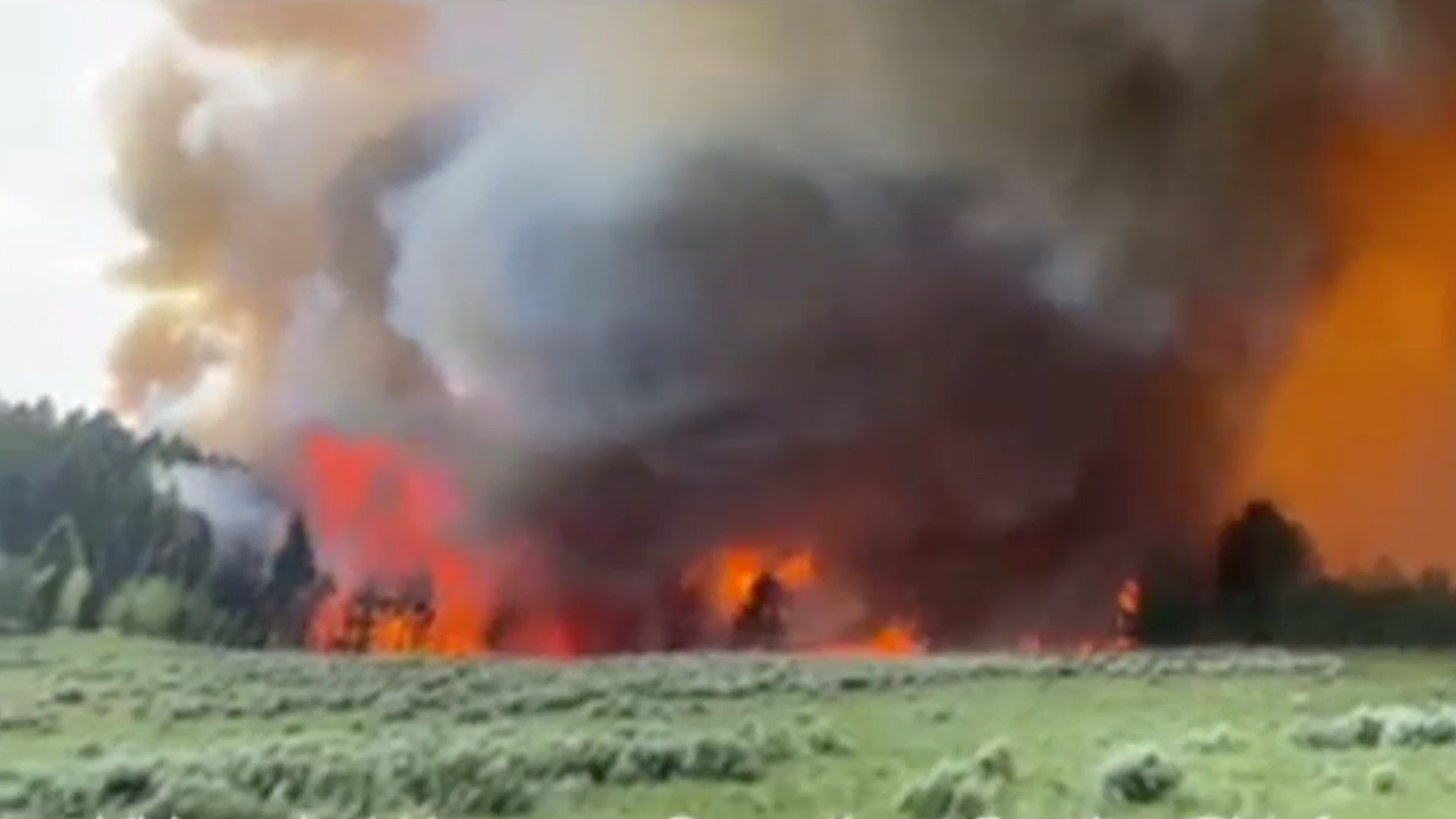 Goose Fire.jpg