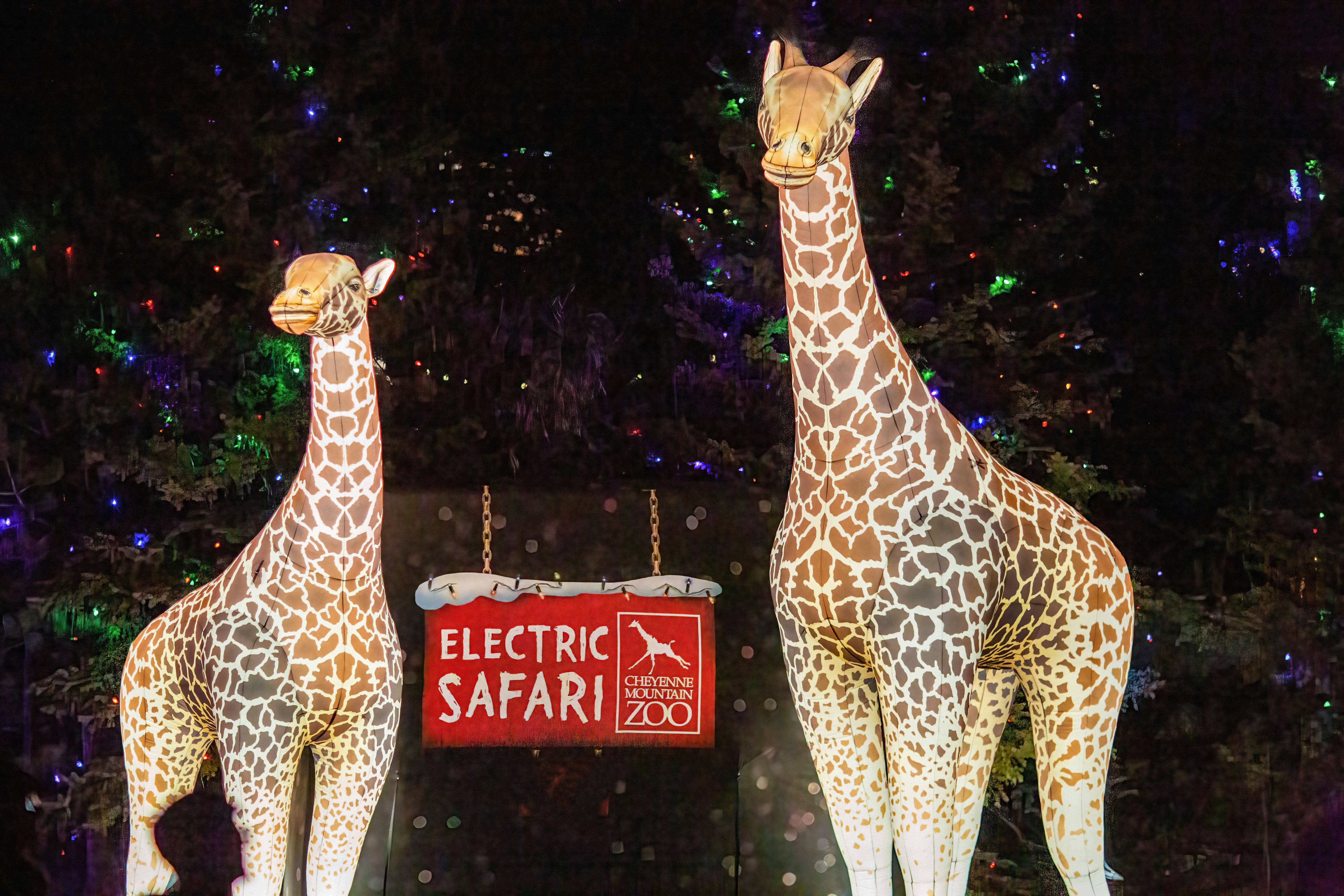 Electric Safari