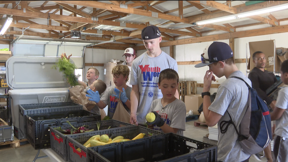 Students packing Harvest Boxes