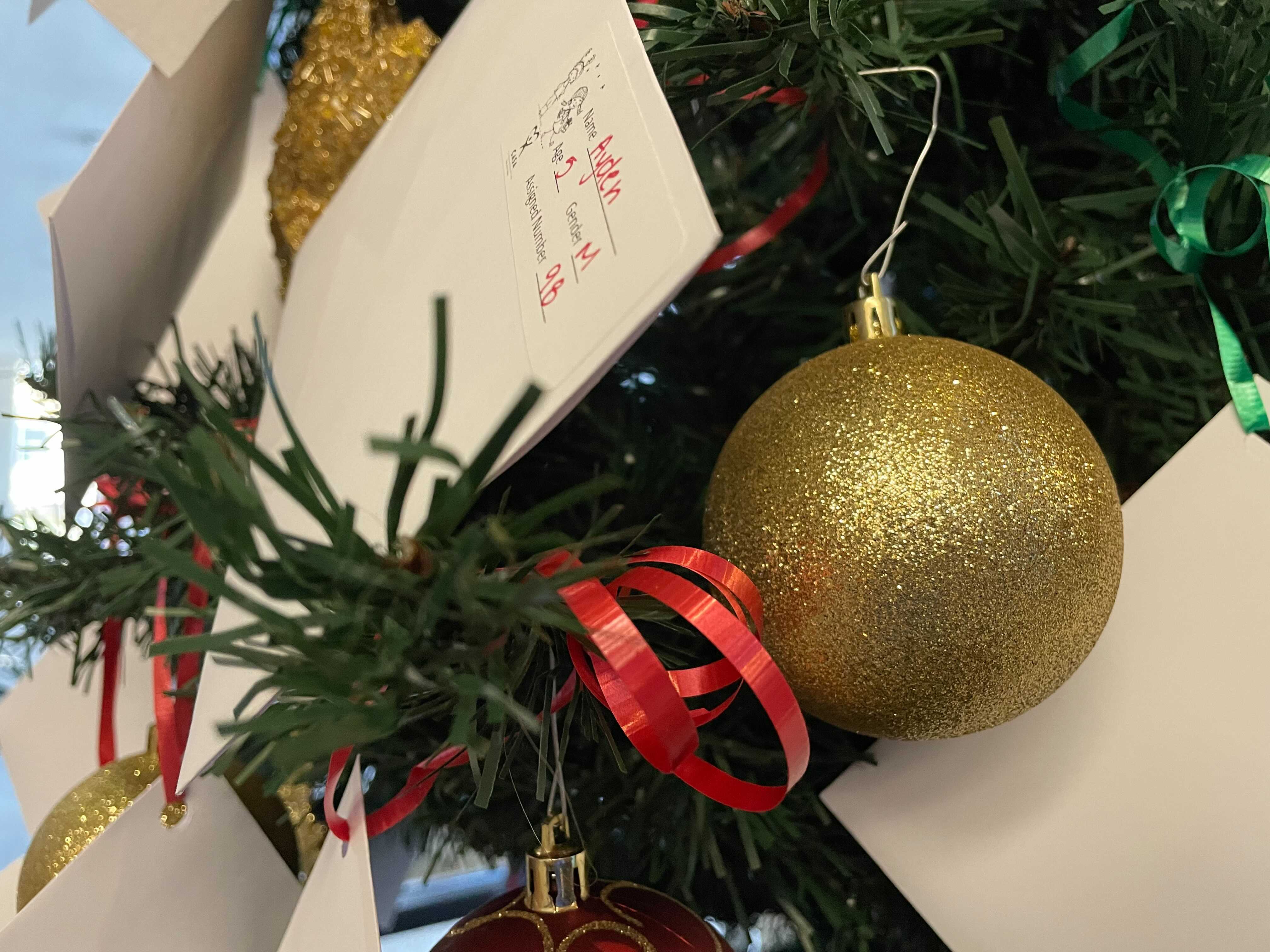 casa angel tree.jpg