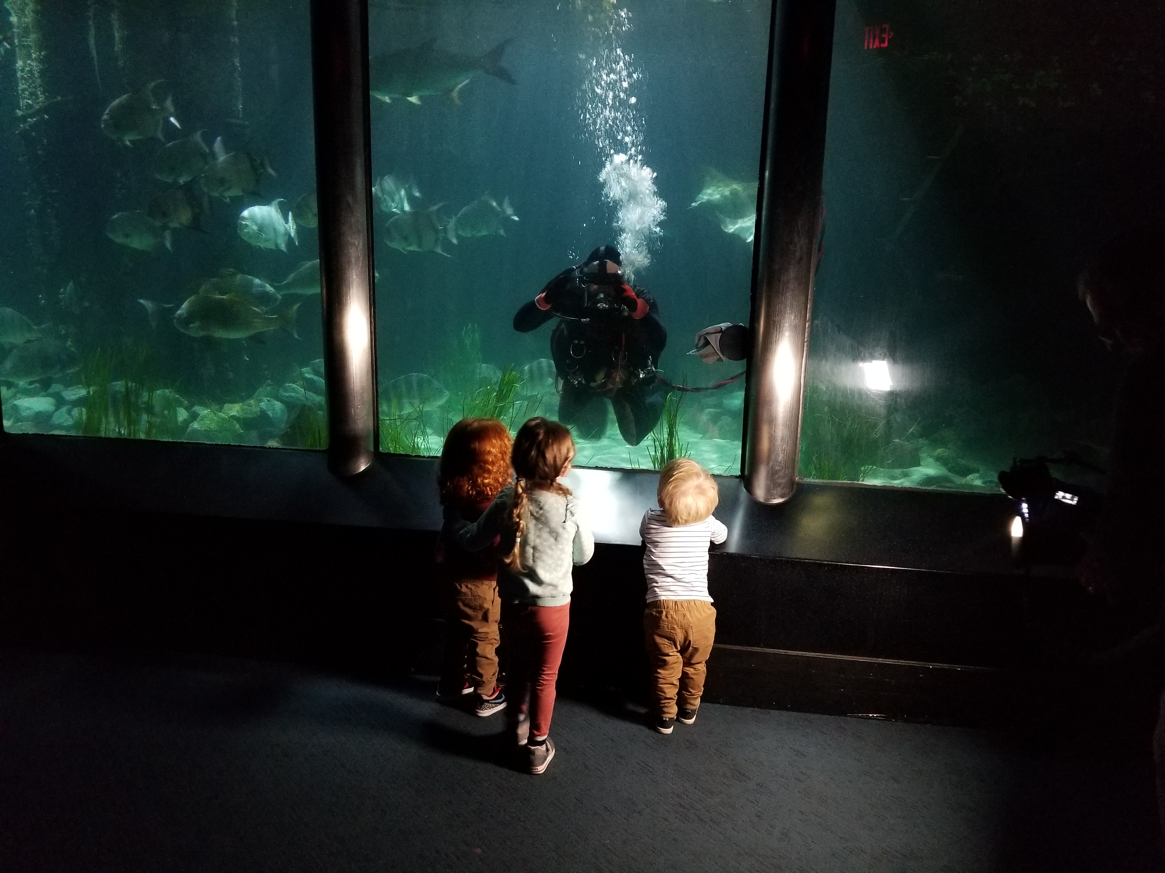 Volunteer Aquaman EDH