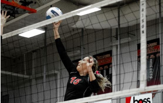 DCC Vb Net.JPG