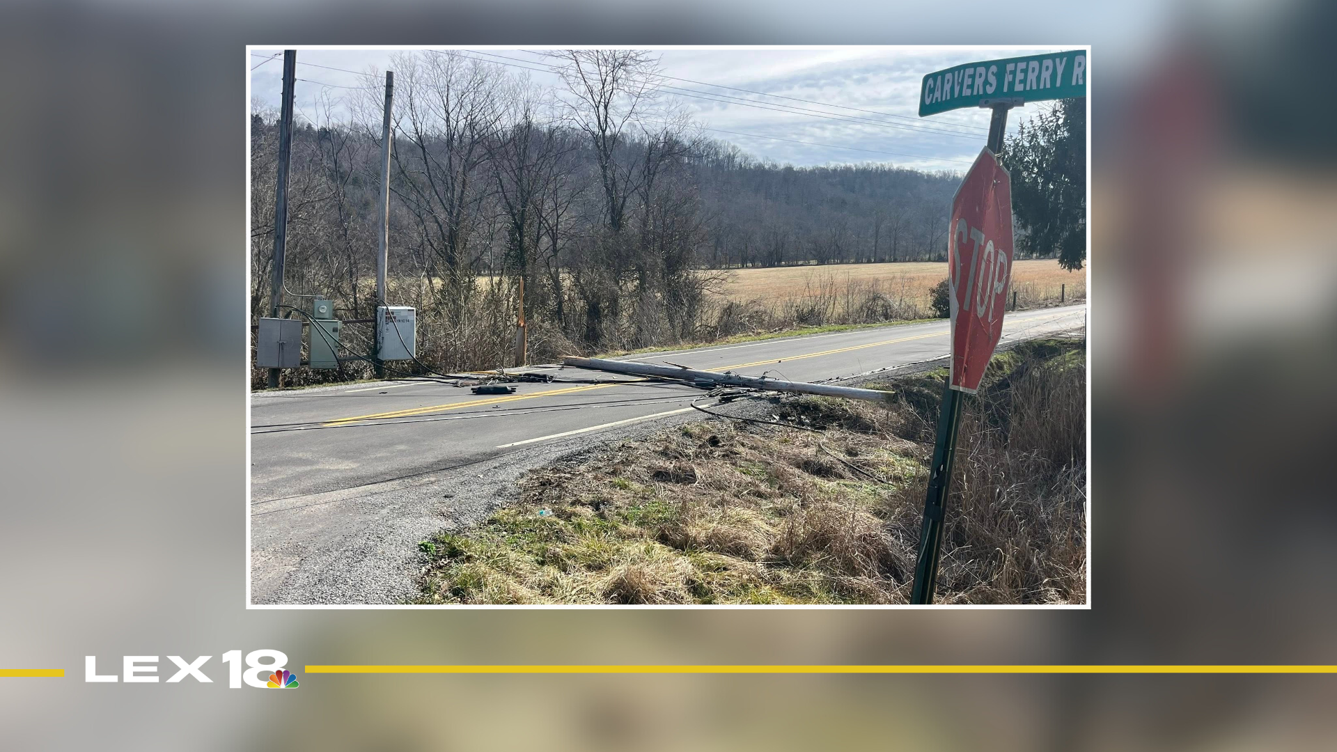 Downed telephone pole