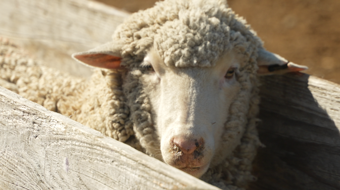 Screen Shot 2026-04-01 at 6.16.08 PM.png