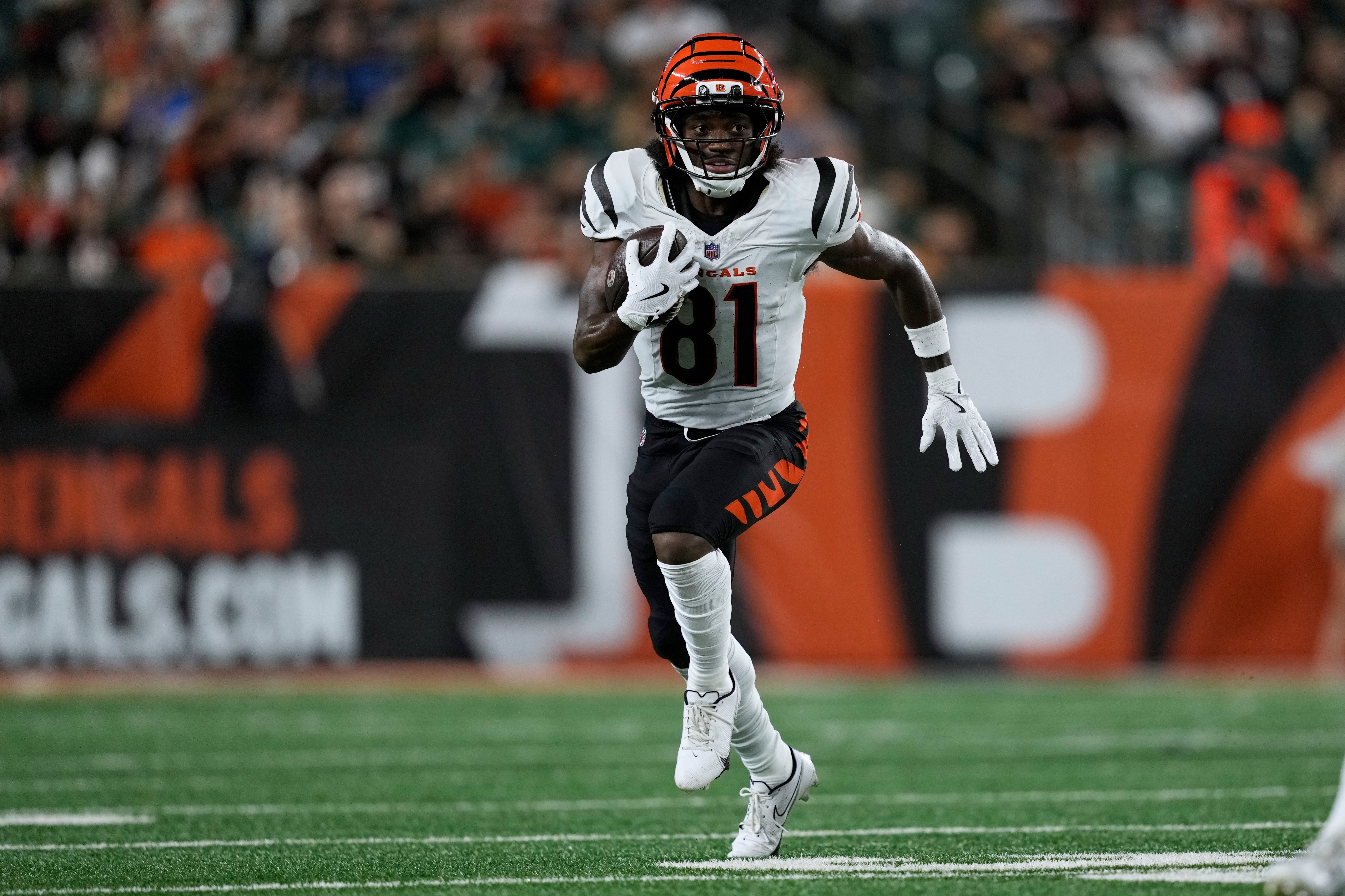 Lions Bengals Football