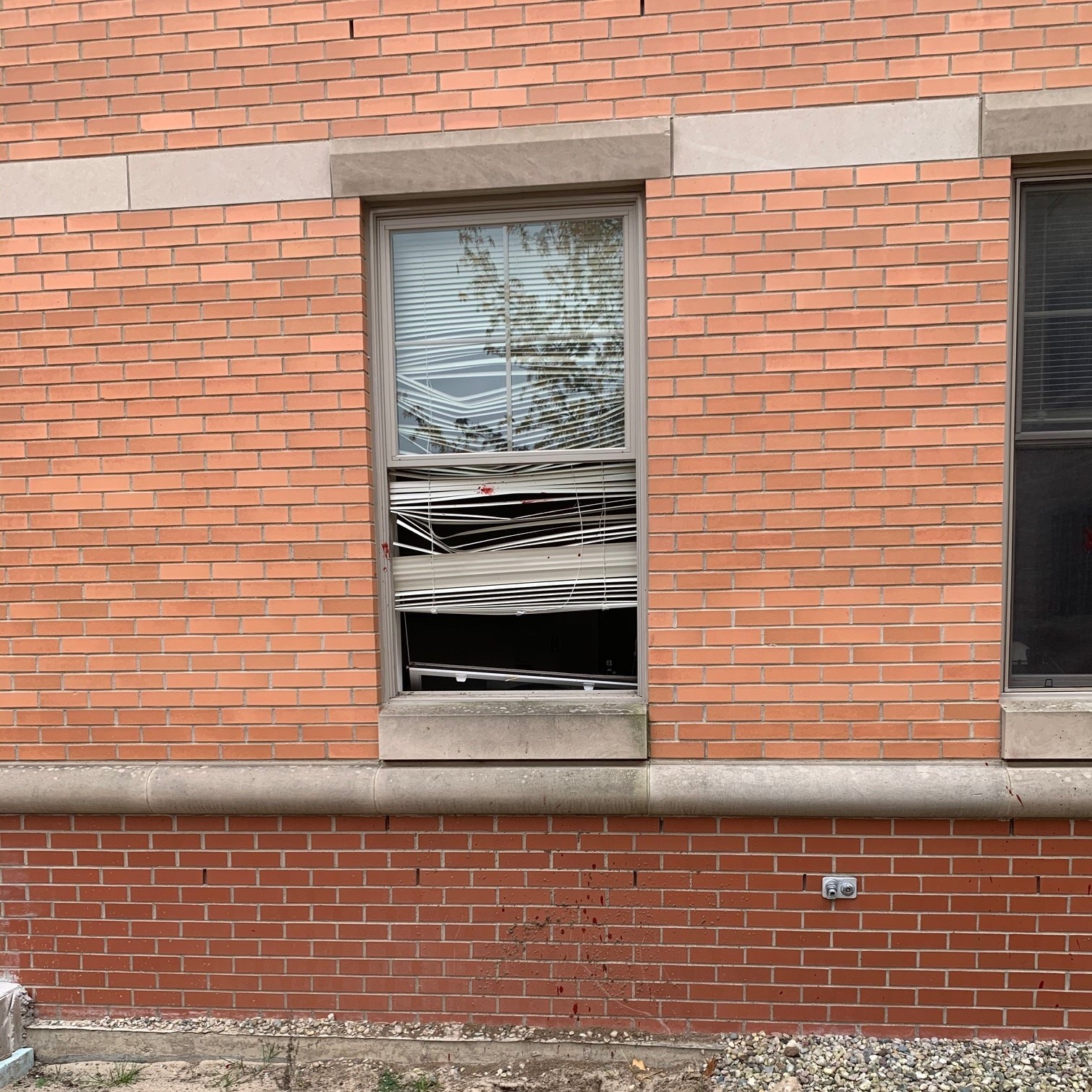 Deer tries to jump through Grand Valley window