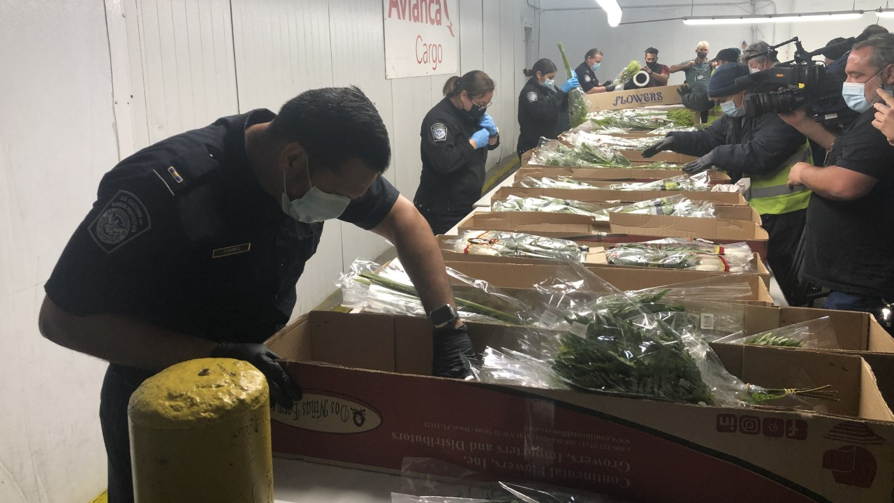 Customs officials inspect flowers at Miami International Airport on Feb. 11, 2021