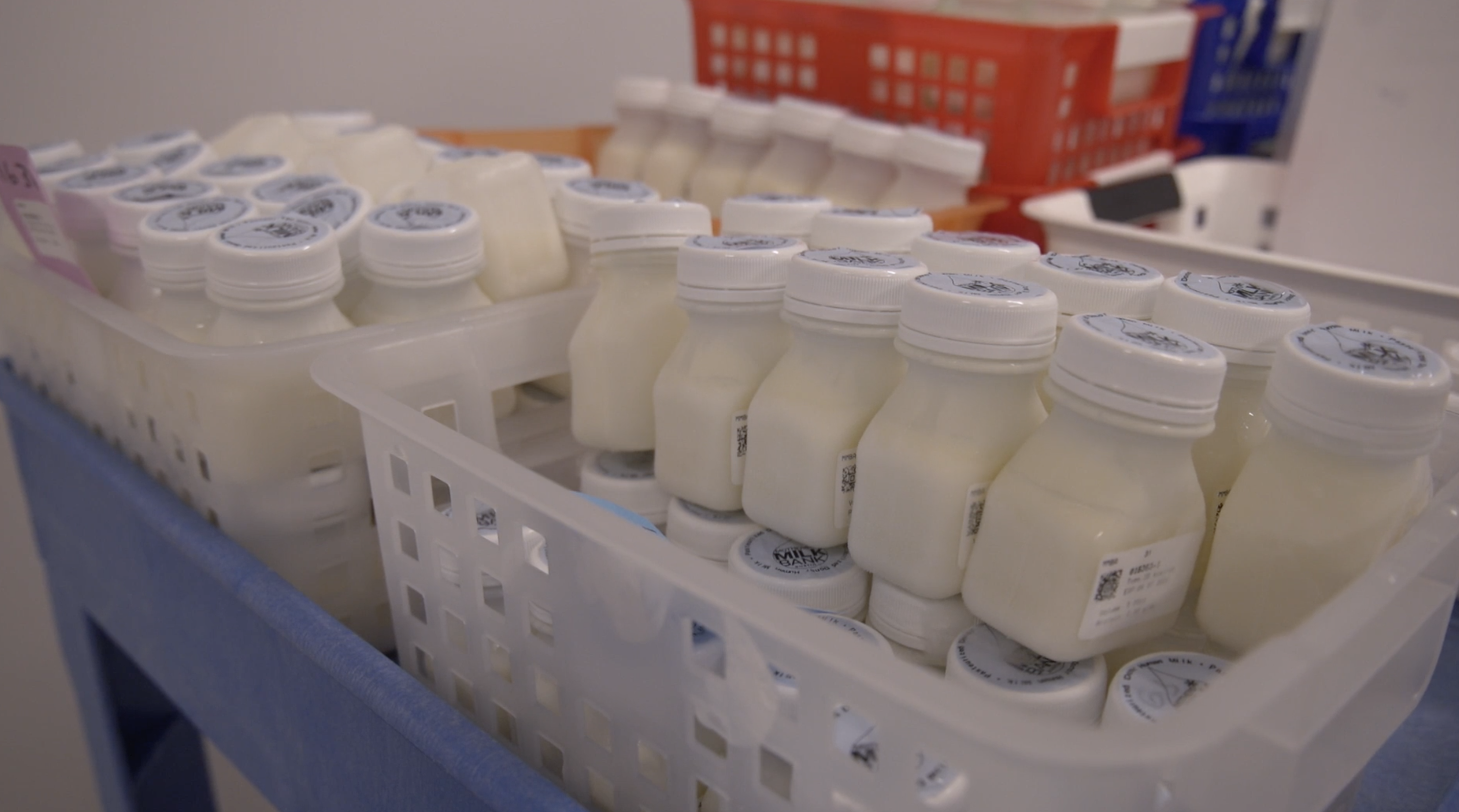 breast milk donation