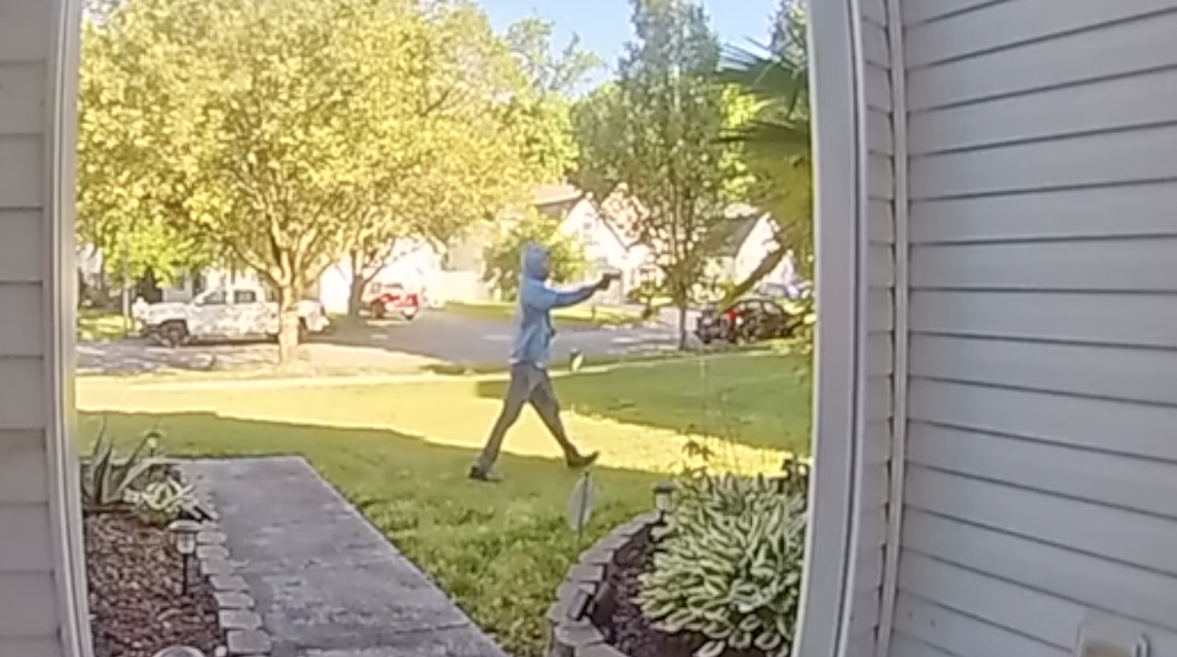 Mulberry Loop Shooting