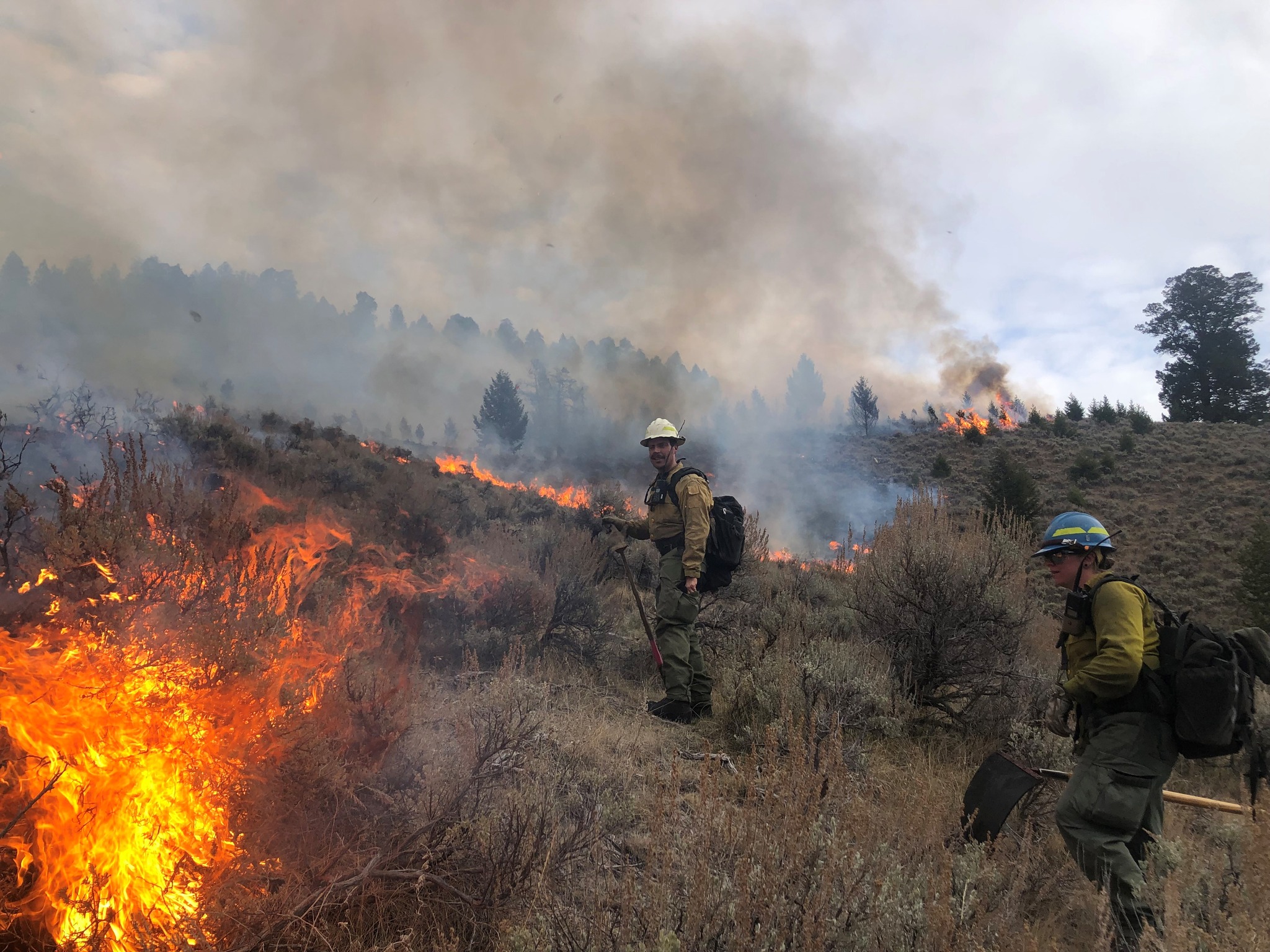 Beaverhead-Deerlodge National Forest reports increase in human-caused fires - Vimarsana News