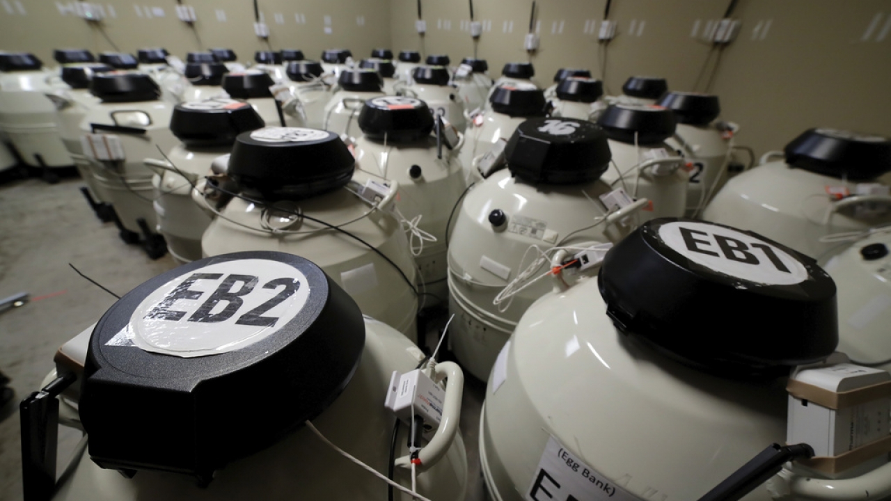 A room full of cryo storage containers used in IVF services