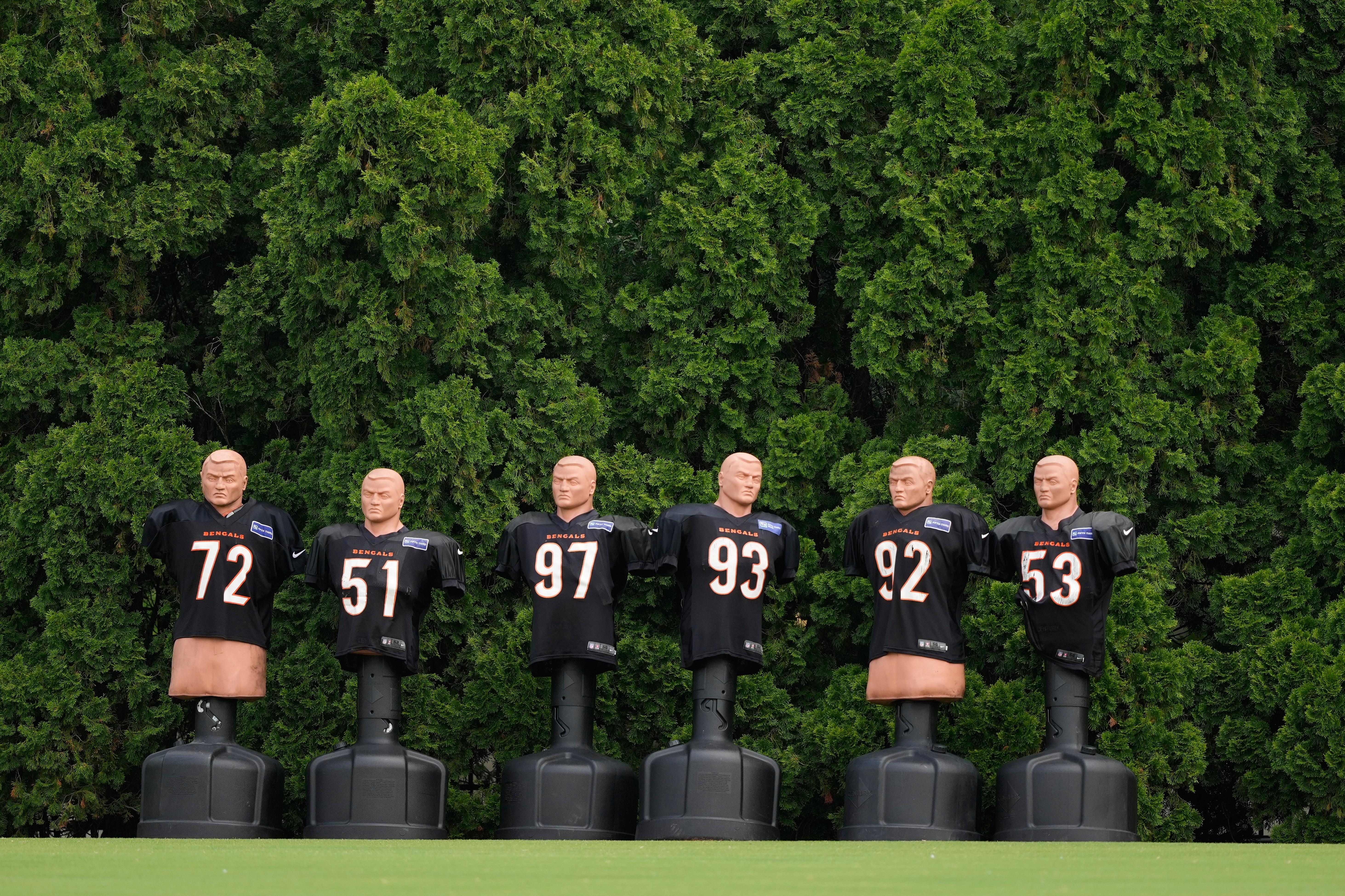 Bengals Football 