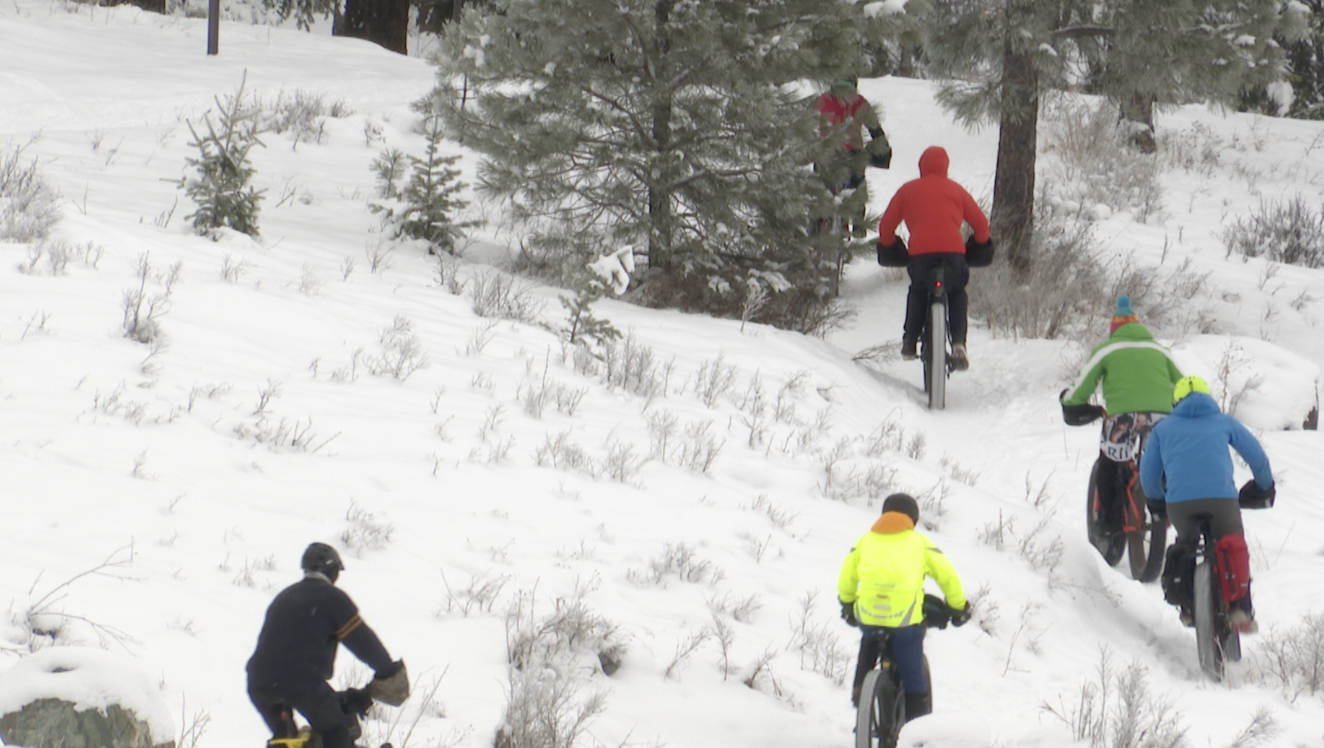 Global Fat Bike Day Screen Shot 2022-12-04 at 2.13.22 PM.png