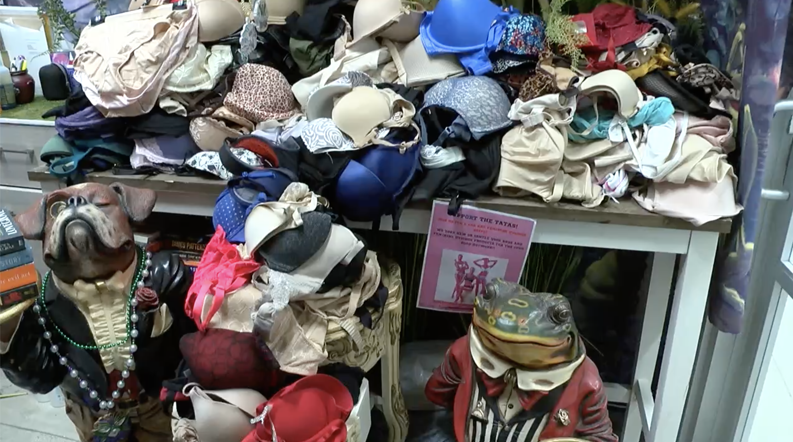 donated bras