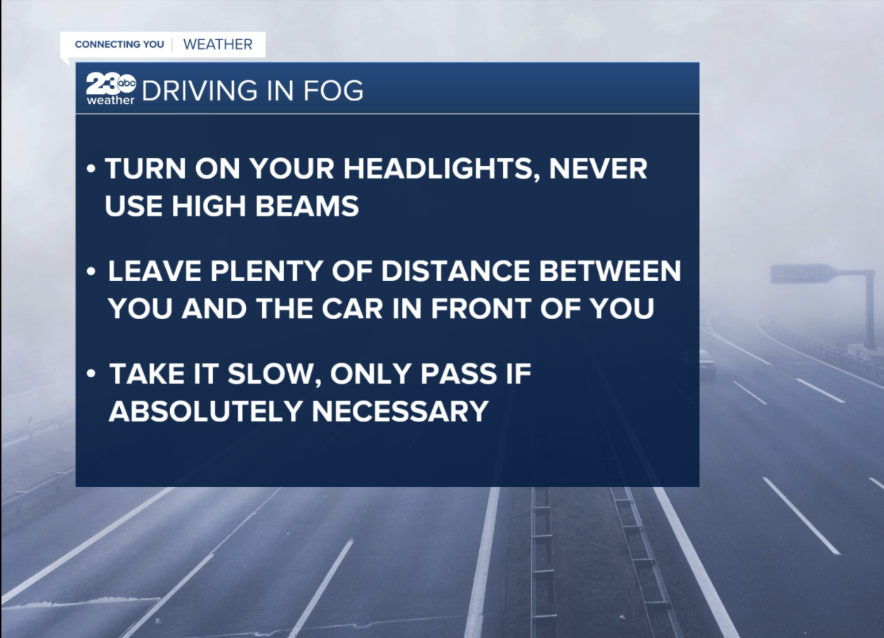 Driving in the fog