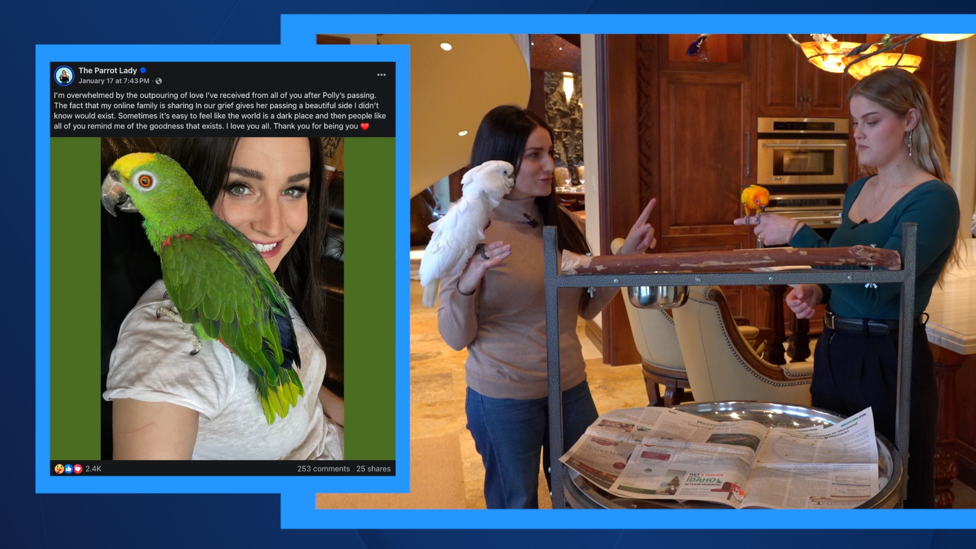 FAMOUS LOCAL PARROT DIEs thumbnail.jpg