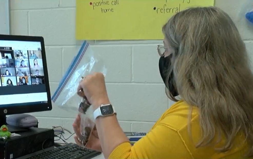 Walden Groves Amy Kueck is a finalist for Arizona Online's Outstanding High School Faculty Award. She has been instrumental in expanding the computer science program at the Sahuarita school. 