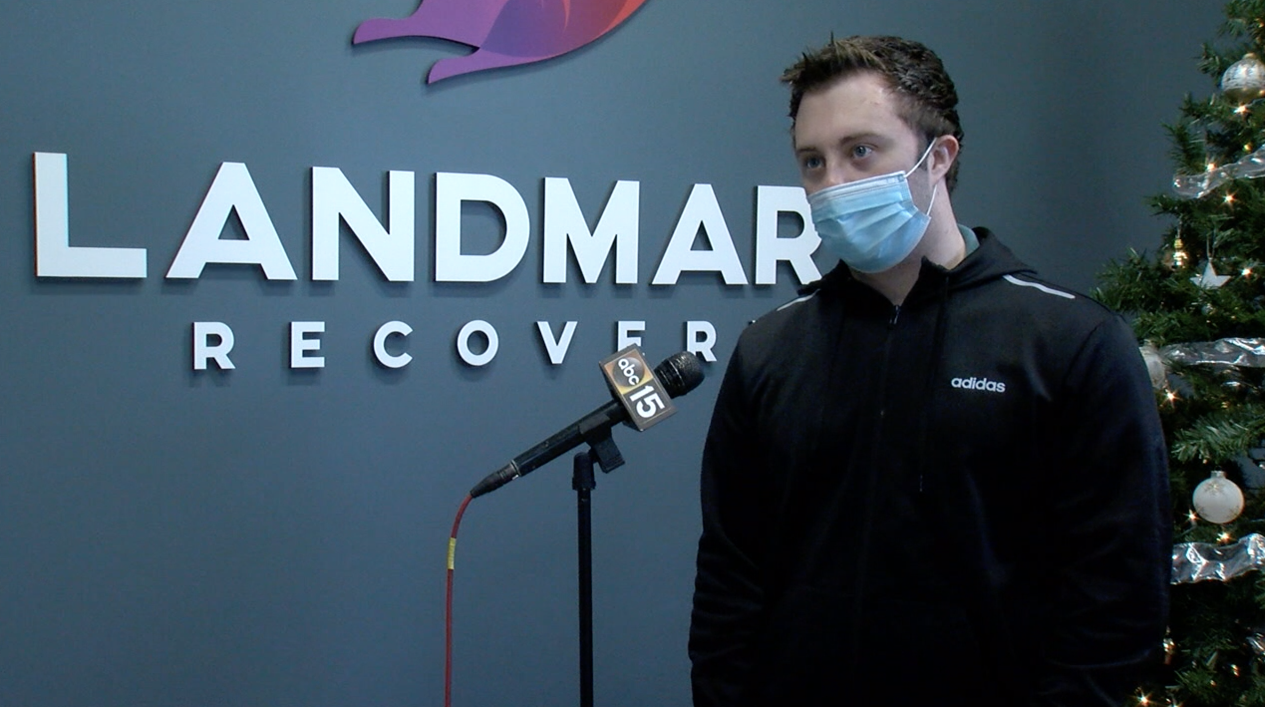 Landmark recovery