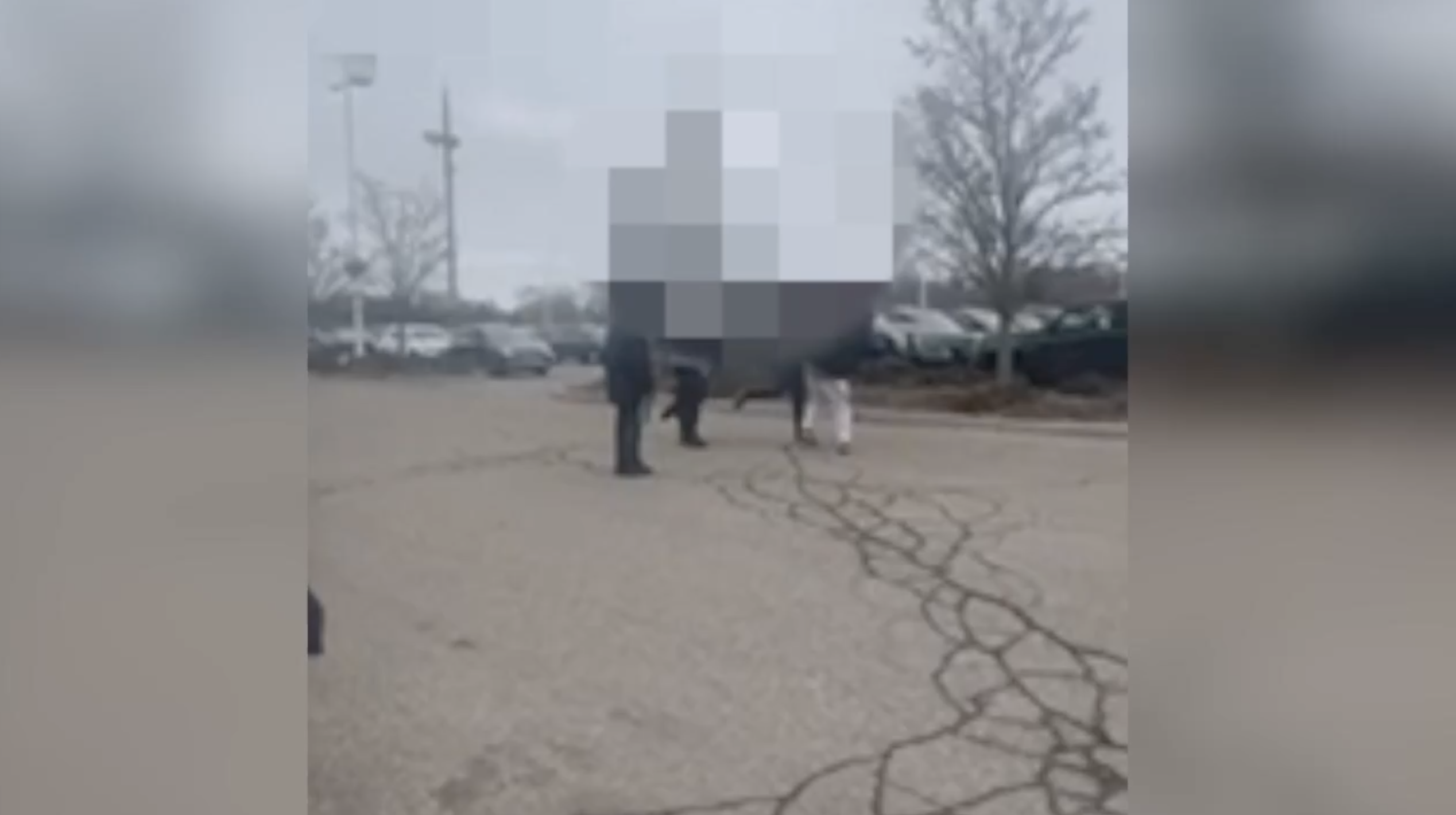 Screenshot 2026-02-26 at 5.49.41 PM.png