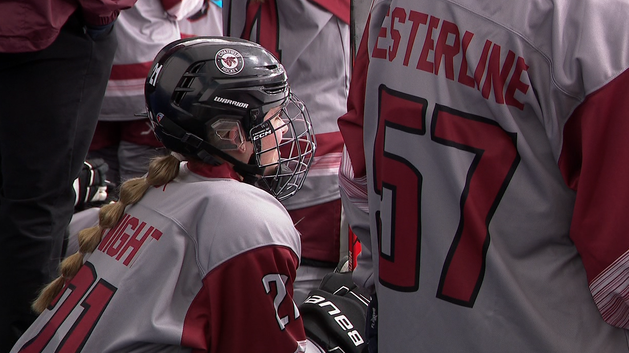 girls ice hockey.png