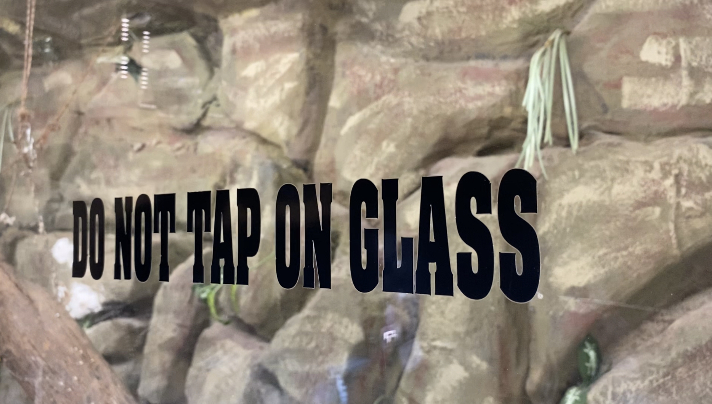 Don't tap the glass!